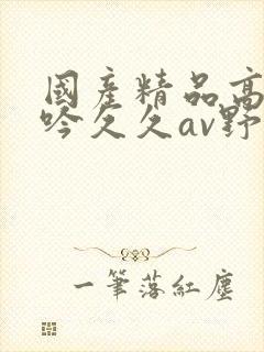 国产精品高潮呻吟久久av野狼