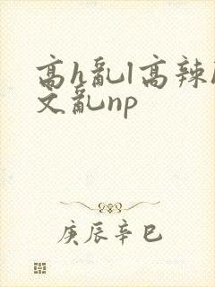 高h乱l高辣h文乱np