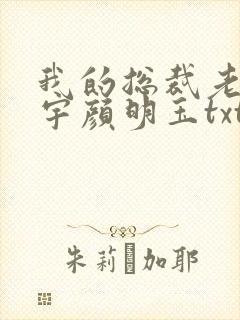 我的总裁老婆秦宇颜明玉txt