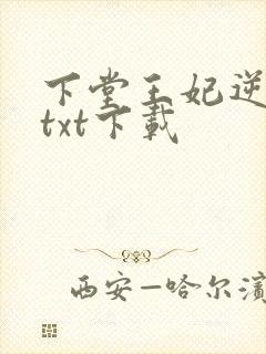 下堂王妃逆袭记txt下载