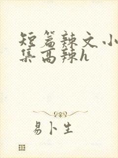 短篇辣文小说合集高辣h封面