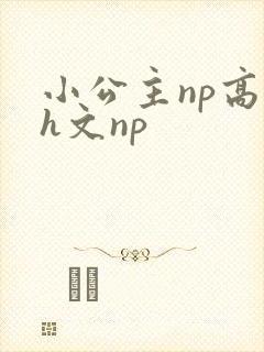 小公主np高辣h文np