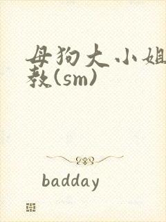 母狗大小姐的调教(sm)