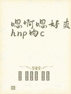 嗯啊嗯好爽啊高hnp肉c
