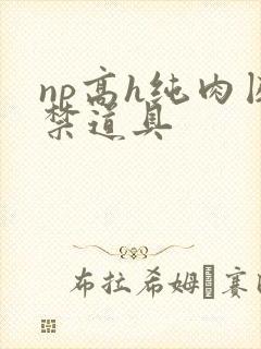 np高h纯肉囚禁道具
