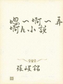 嗯～啊～弄嗯～啊h小说封面