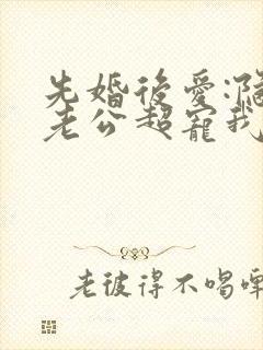 先婚后爱:隐婚老公超宠我