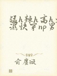 猛h辣h高h文湿快穿np男男