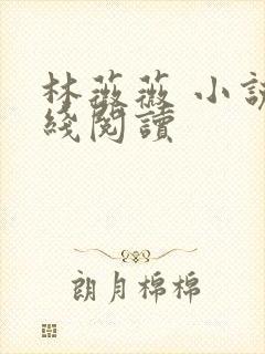 林薇薇 小说在线阅读