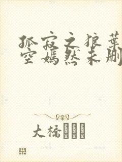 孤寂之狼叶凡司空嫣然未删减txt