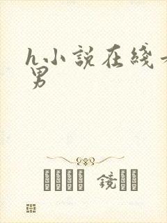 h小说在线看男男封面