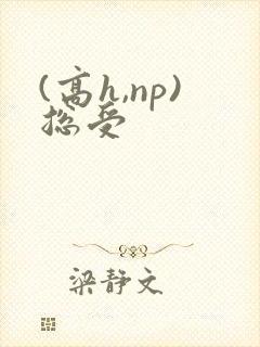 (高h,np)总受