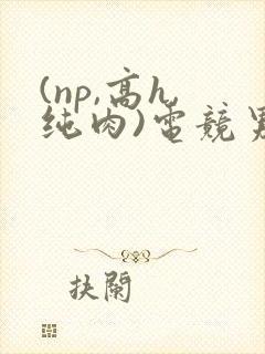 (np,高h,纯肉)电竞男男