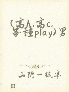 (高h,高c,各种play)男男