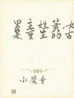 男主姓萧,女主是重生的古言