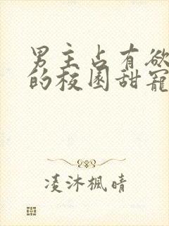 男主占有欲很强的校园甜宠文小说封面