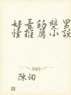 好看的双男主言情推荐小说封面