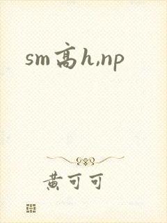 sm高h,np