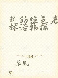 我的绝色老板娘林浩韩总