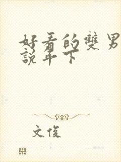 好看的双男主小说年下封面