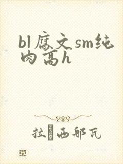 bl腐文sm纯肉高h