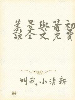 叶晨与萧初然小说全文免费阅读全部封面