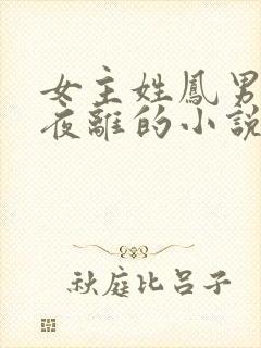 女主姓凤男主叫夜离的小说