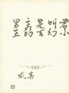 男主是叫君家少主的玄幻小说