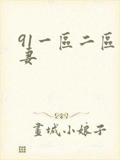 91一区二区人妻