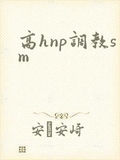 高hnp调教sm