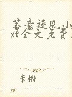 蓄意逐风小说txt全文免费阅读