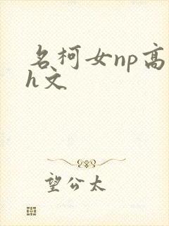 名柯女np高辣h文