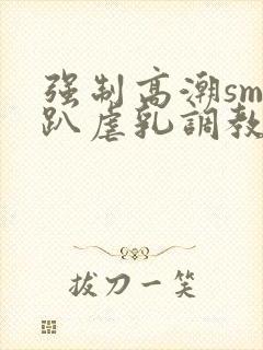 强制高潮sm跪趴虐乳调教小说