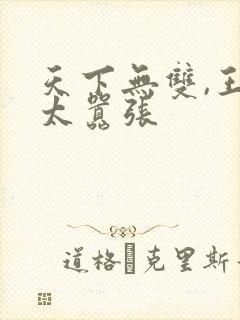 天下无双,王妃太嚣张