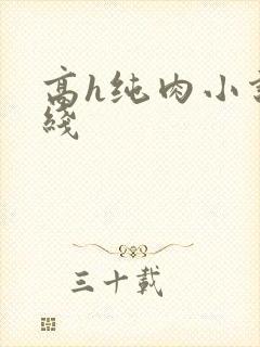 高h纯肉小说在线