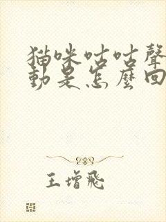 猫咪咕咕声有震动是怎么回事