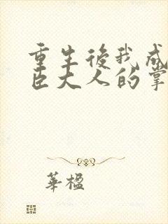 重生后我成了权臣大人的掌中娇