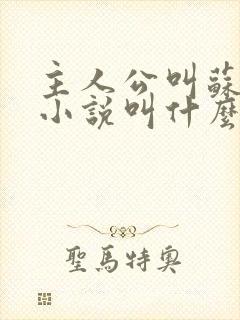 主人公叫苏泽的小说叫什么名字