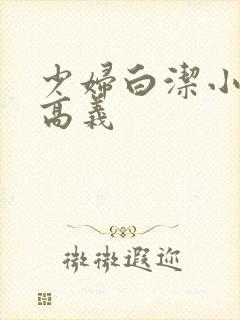 少妇白洁小说 高义