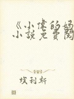 《小伟的妈妈》小说免费阅读