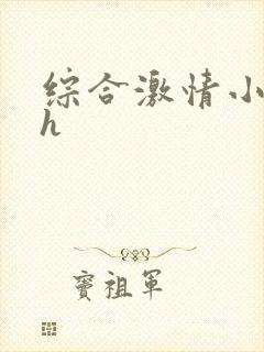 综合激情小说乱h