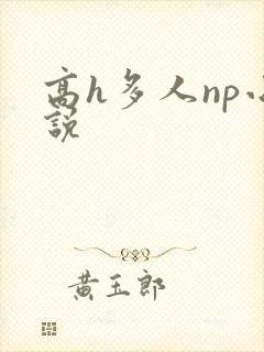 高h多人np小说