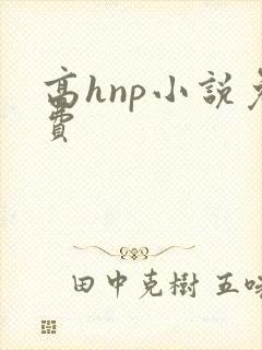 高hnp小说免费