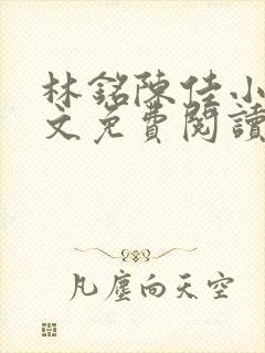 林铭陈佳小说全文免费阅读最新章节封面