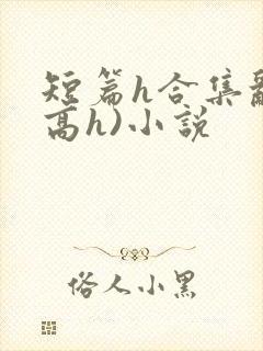 短篇h合集乱(高h)小说