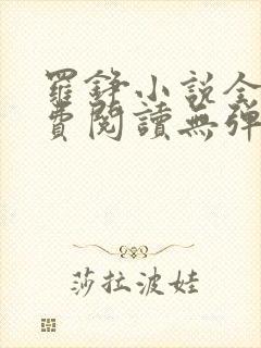 罗铮小说全文免费阅读无弹窗