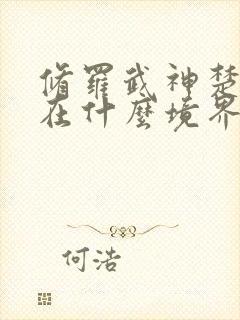 修罗武神楚枫现在什么境界