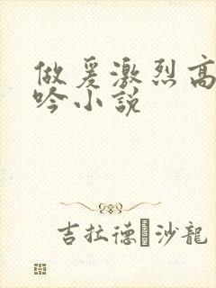 做爰激烈高潮呻吟小说