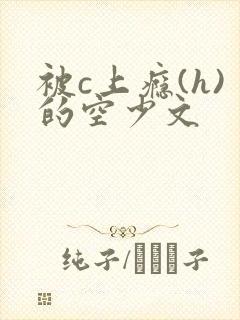 被c上瘾(h)的空少文封面