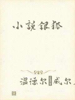 小说银狐
